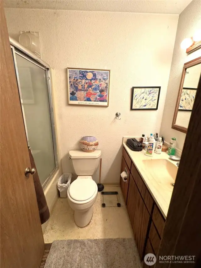 Primary/hall bathroom