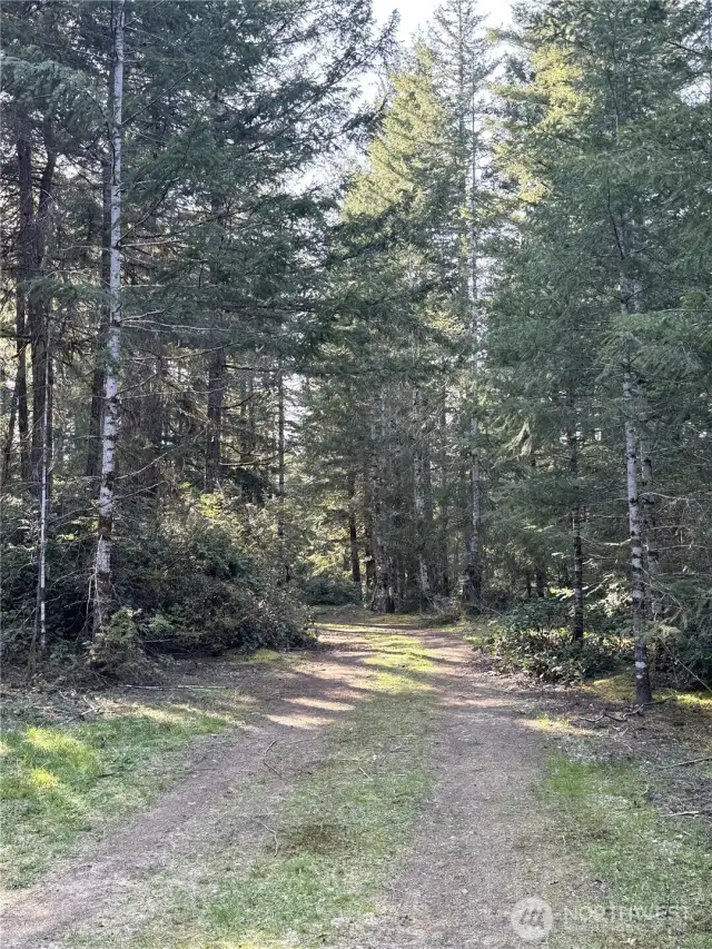 Drive to lower level area.