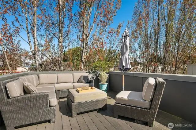 Top floor terrace with room for large furniture and plantings. This is only about half of the full deck area. Flooring is a bamboo fibre with recycled materials, easy to care for.