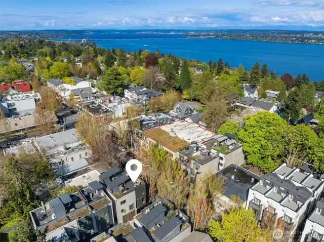 Drone image looking North to the 520 Bridge.  The Madrona Lake Washington Beach is only a half dozen blocks away.  Biking, swimming, fishing, play, ready for summertime pleasure.