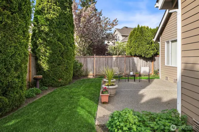 Private Backyard
