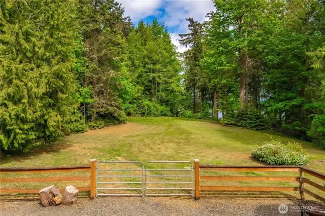 Large yard for plenty of recreation and path to the waterview