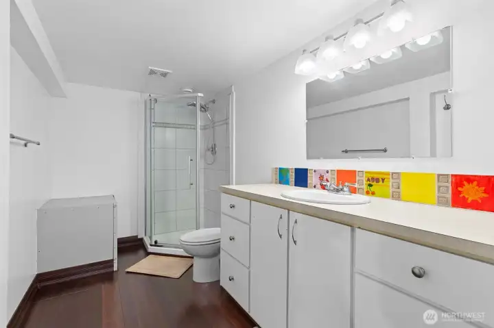Downstairs Bathroom / Finished Basement