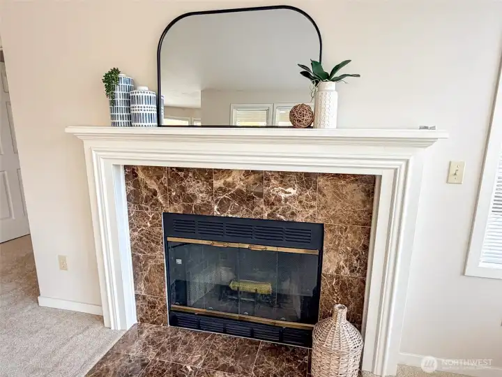 Wood-burning fireplace