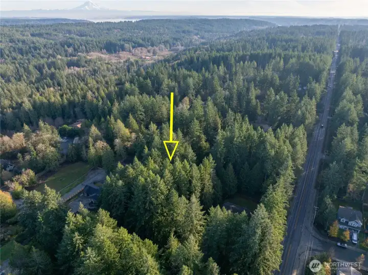 Peacock Hill location- minutes to Costco, Hwy 16 and downtown Gig Harbor.