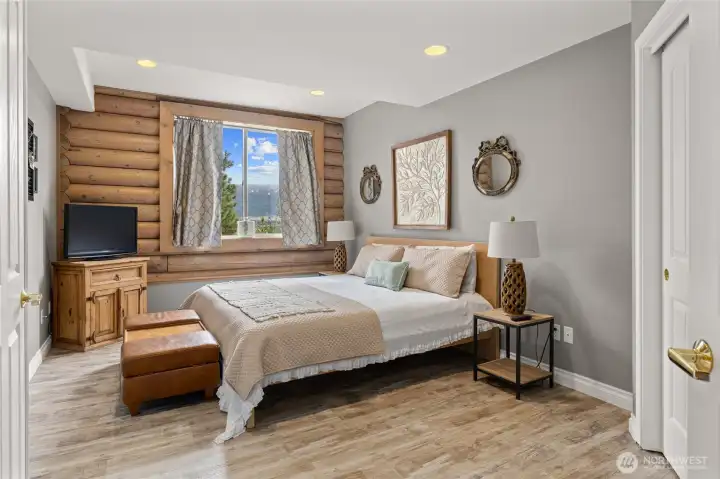 This is one of two generous sized bedrooms located on the lower level.