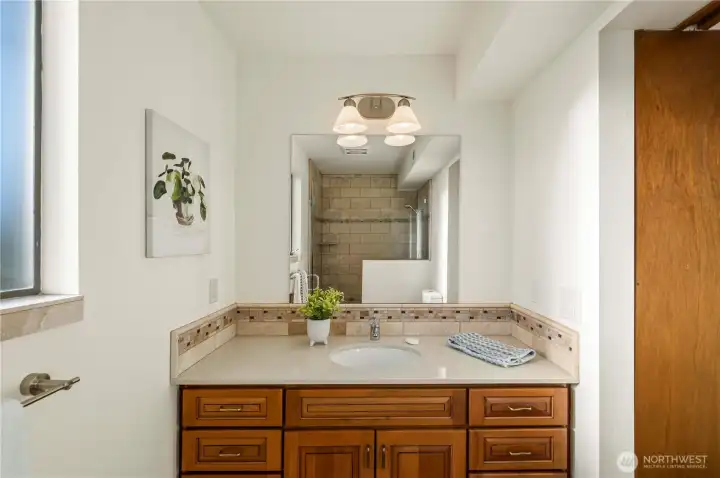 3rd bathroom on lower level with shower