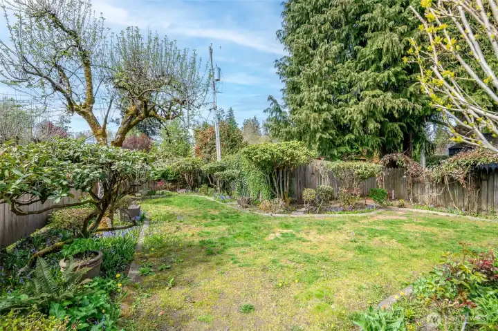 Enjoy the garden spaces and all the mature landscaping throughout the yard.