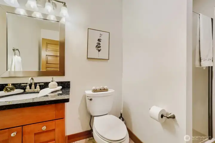 Bath off Lower Bedroom