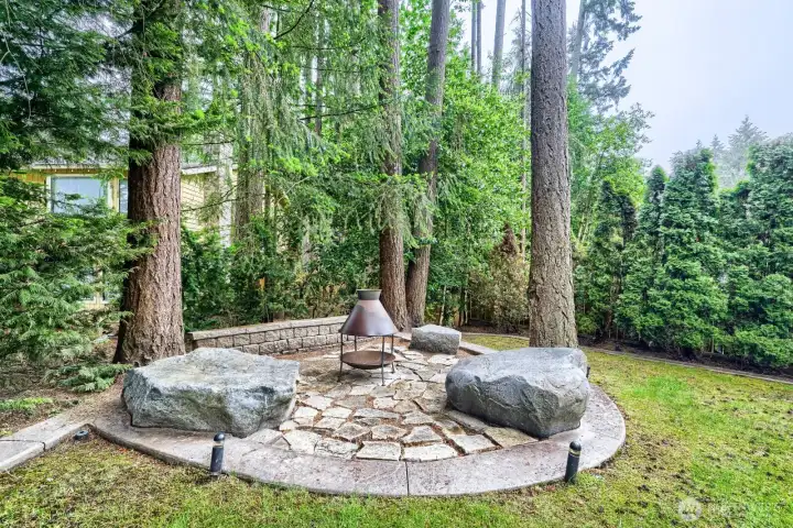 Fire Pit Area in Backyard