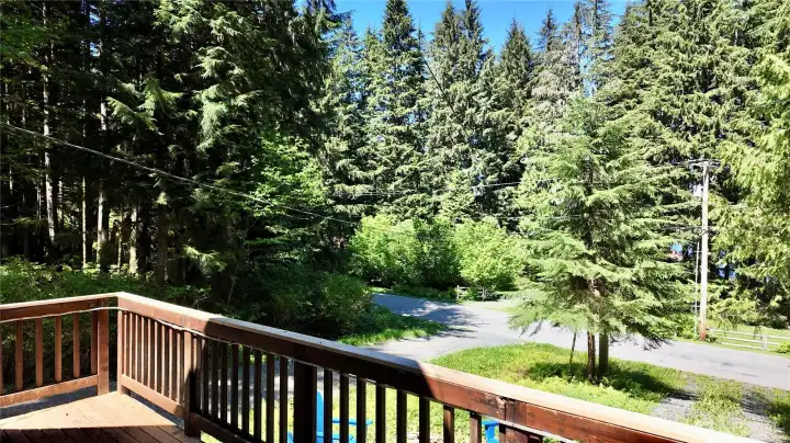 Expansive deck with nature views.