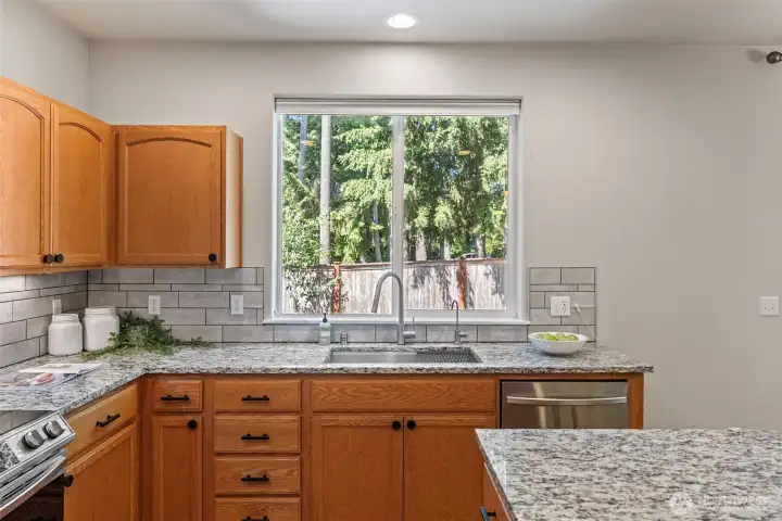 Lovely window overlooking the backyard above the kitchen sink. Additionally there is an under the sink water filtration: Waterdrop G2P600 Reverse Osmosis System, TDS Reduction, 7 Stage Water Filtration