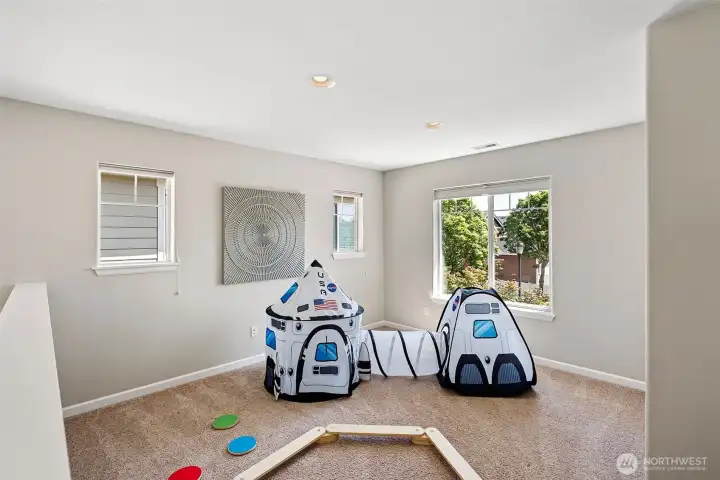Versatile rec space; workout area, media room, playroom, study or creative space.