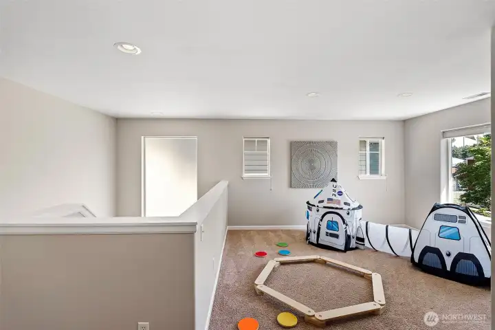 Versatile rec space; workout area, media room, playroom, study or creative space.