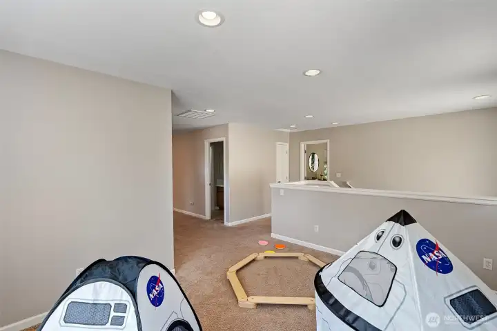 Versatile rec space; workout area, media room, playroom, study or creative space.