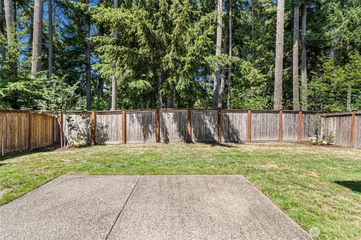 Private, fully fenced backyard with patio (off the kitchen area), perfect for outdoor entertaining.