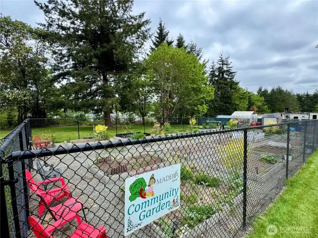 Community Garden