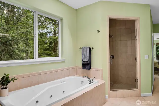 Jetted Tub and Oversized Walk In Shower