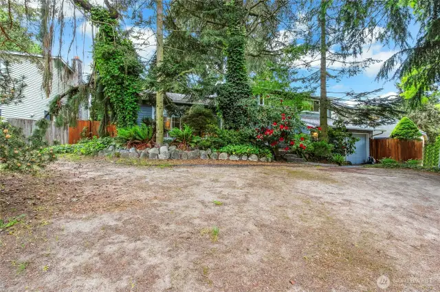 Front Yard