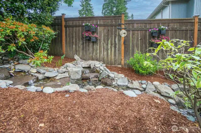 Water Feature Back Yard