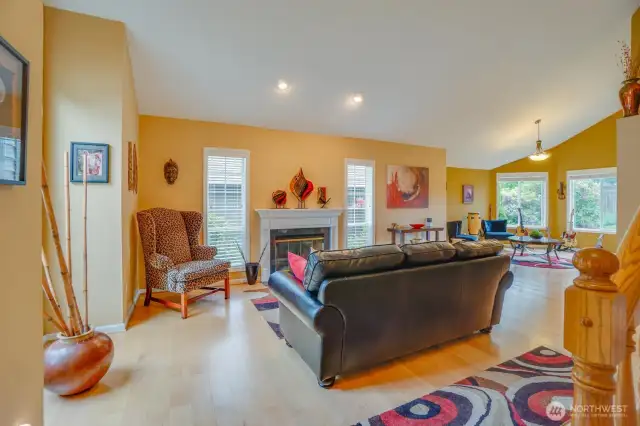 Vaulted Living Room