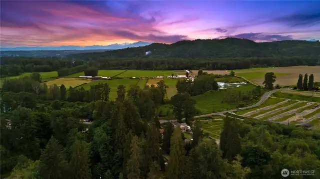 A full view of the home’s setting—private, peaceful, and beautifully surrounded by nature.