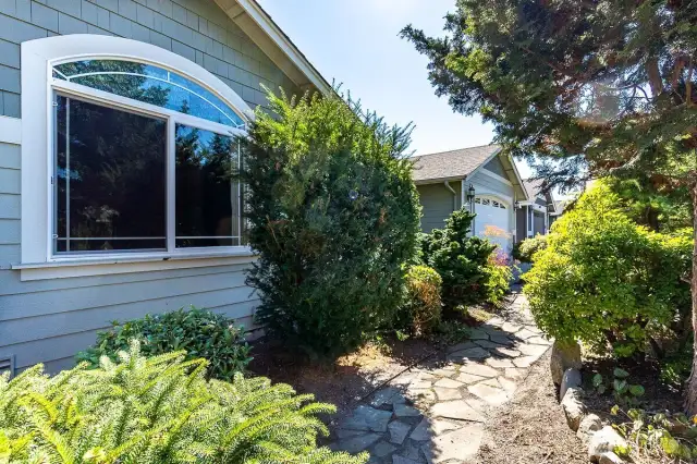 Front Yard