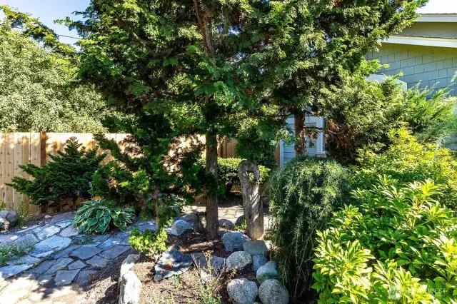 front yard landscaping
