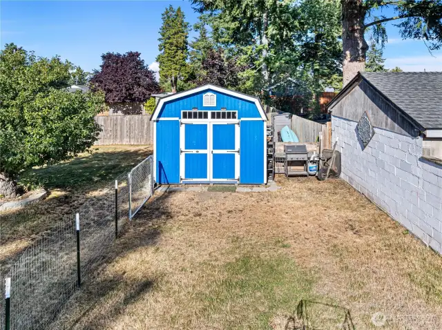 Large shed with custom shelving racks