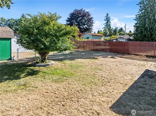 Fully fenced with dog run or garden area