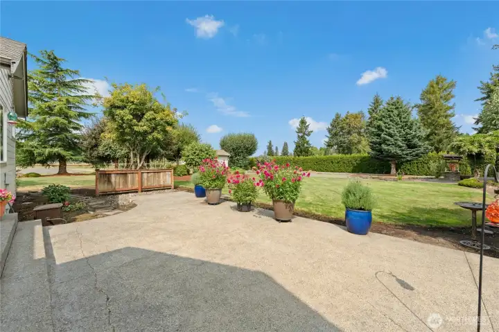 Back patio