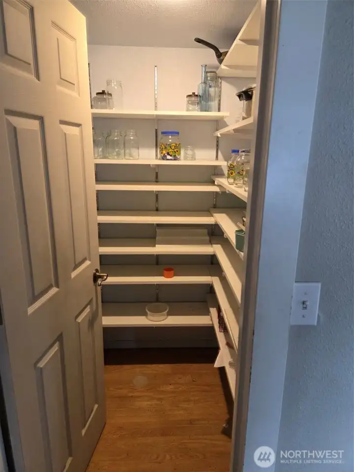 Walk-in pantry with shelving