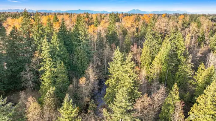 roperty aerial showing natural surroundings and distant mountains
