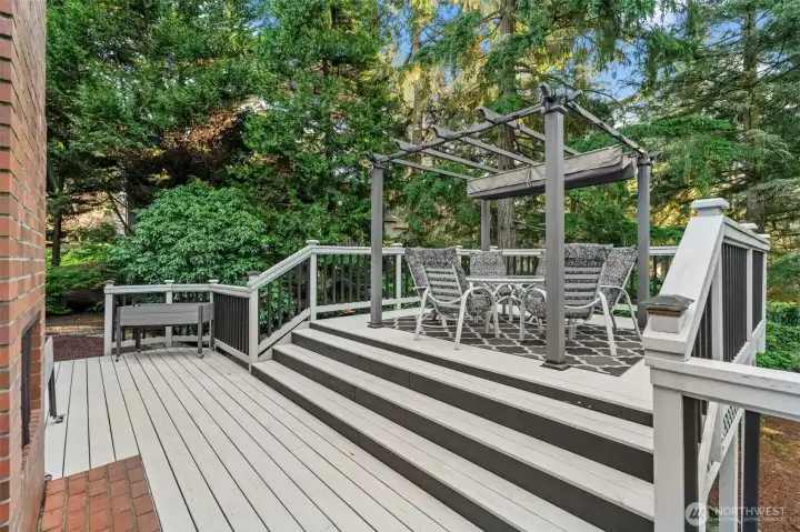 Entertaining Deck