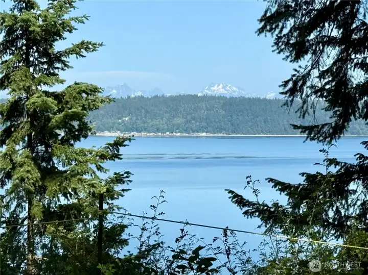 Watch eagles as the soar overhead and keep an eye out for whales that frequently visit Port Susan.