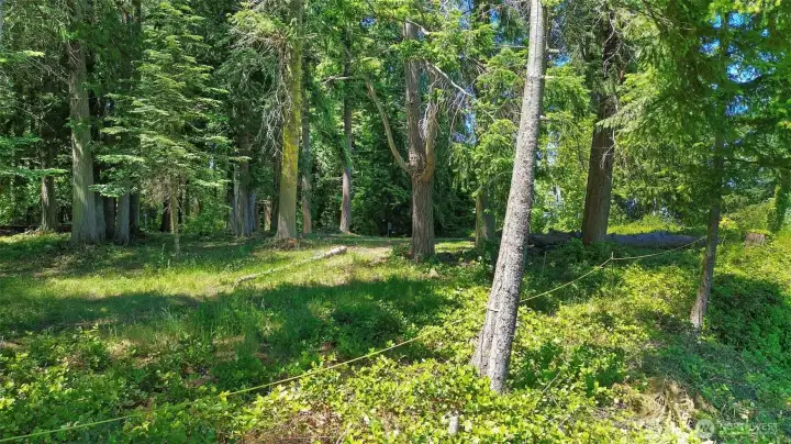 This lot features over 100 feet of bulkhead waterfront complete with tideland rights and incredible views of Port Susan & the Cascade Mountains.