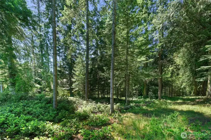 Experience the incredible views of & watch the sunrise over the mountain tops in this peaceful & tranquil setting. Whales frequently swim by, eagles soar overhead, & Camano Island is famous for their crab rich waters.