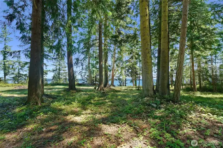This is a rare opportunity to own over an acre of waterfront property. Welcome home.