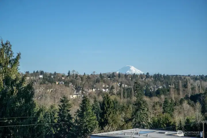 Iconic Mt.Ranier never fails to impress.