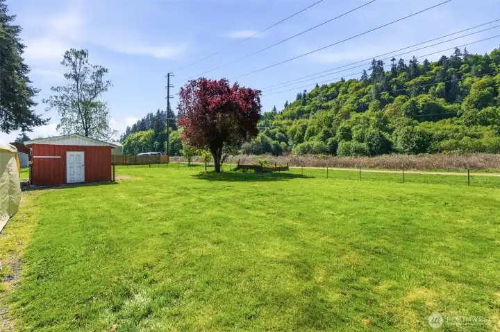 Almost a 1/2 acre of property. very level