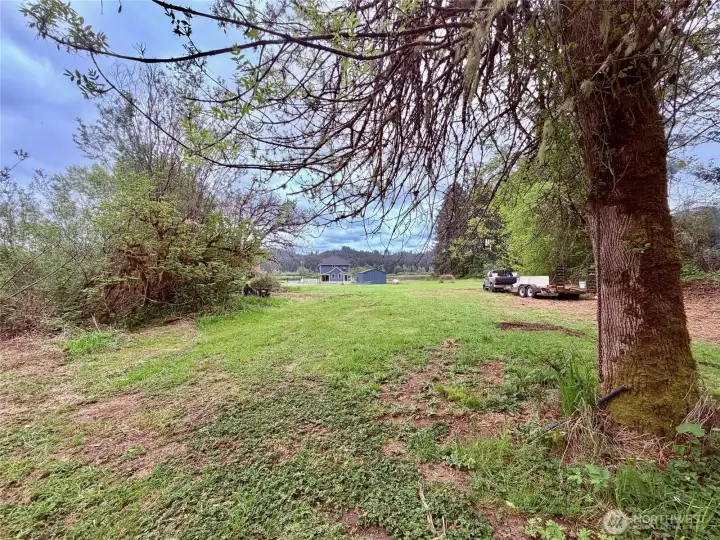 So many wonderful spaces on your homestead.  This is the flat area behind the house on the house side of the creek.