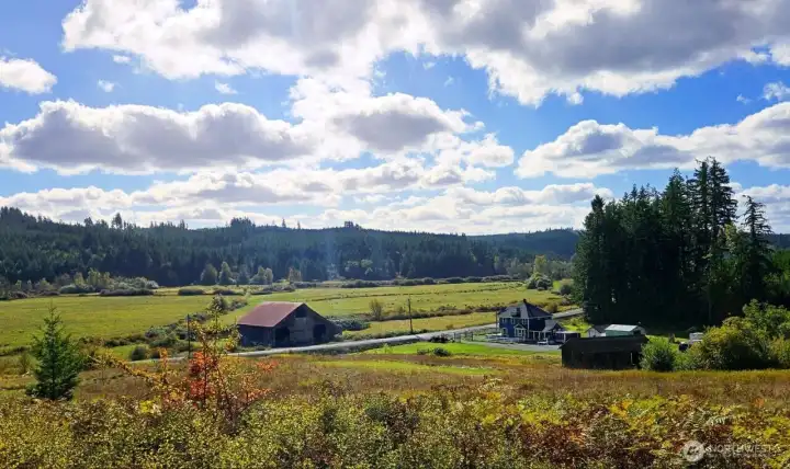 You have room to do what you like with your property.  Some of it is pasture, some is wooded and some is parking and home and buildings.  Just 19-20 minute drive to freeway