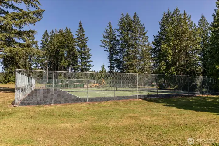 Tennis or Pickle Ball Any One? Tennis or Pickle Ball Any One?