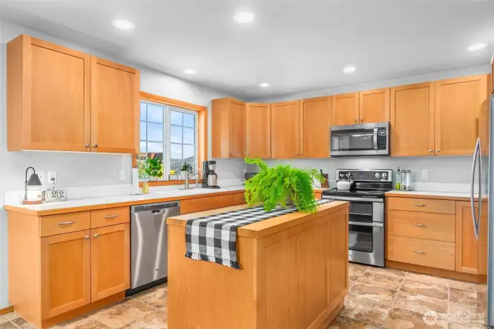 Lovely appliances, and view into the backyard