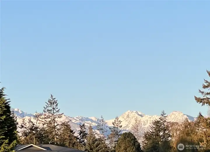 Olympic Mountain views