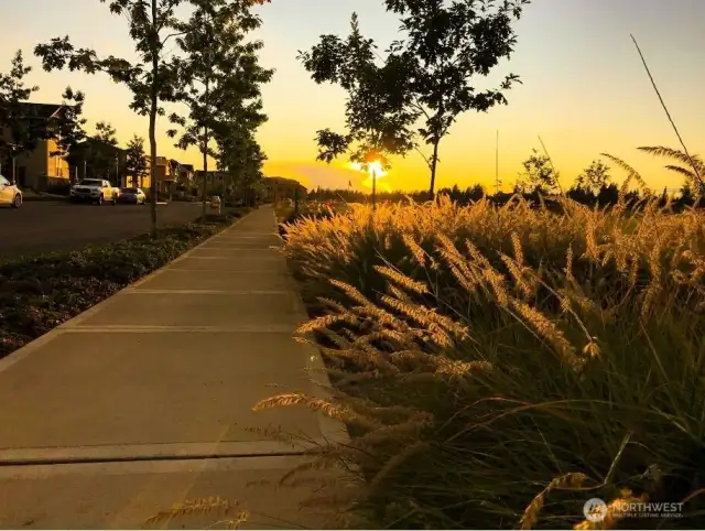 Sidewalks throughout the entire community!