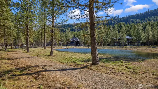 Level site, ready for a gorgeous home.