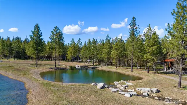 Build your dream home on the lake!