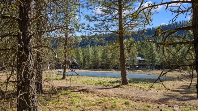 Enjoy the serene view from your back patio.
