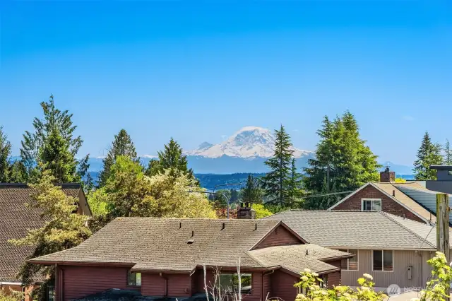 Mt Rainier views!